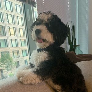 Meet your Posher, Lauren